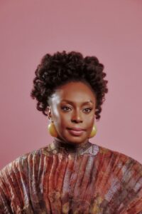 Chimamanda Adichie son death, Euracare Hospital negligence, Nkanu Nnamdi, Lagos medical probe, HEFAMAA investigation, Nigeria healthcare crisis.